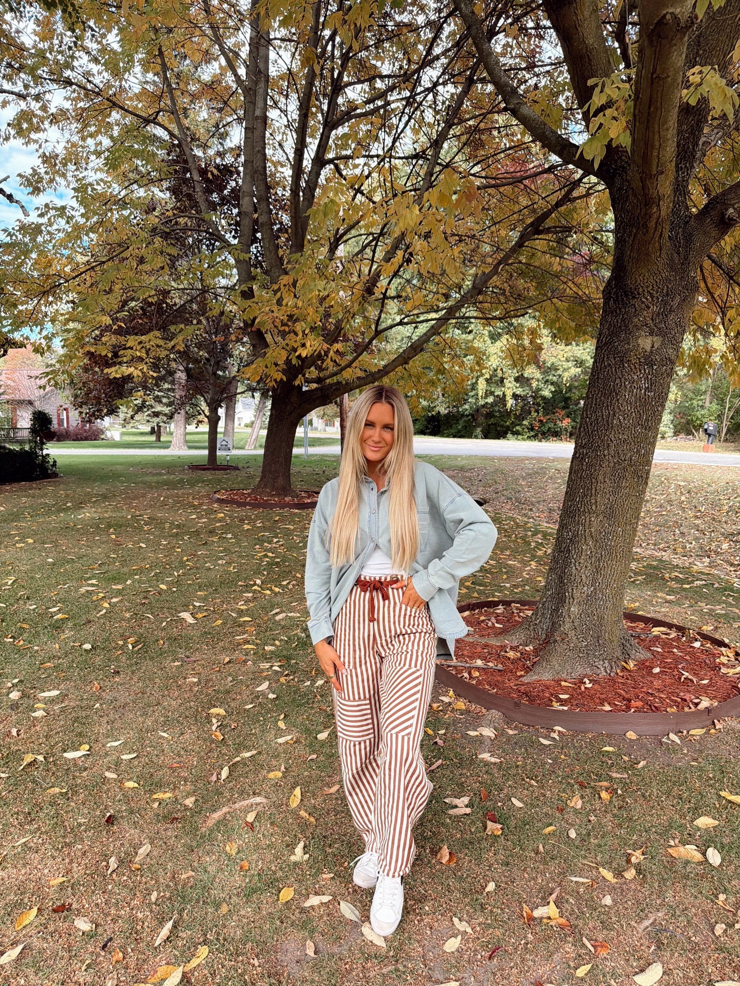 Cinnamon Stripe Utility Pants